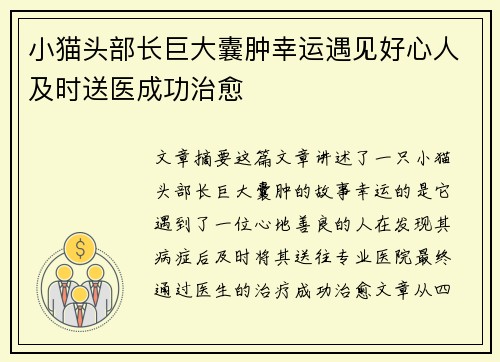 小猫头部长巨大囊肿幸运遇见好心人及时送医成功治愈
