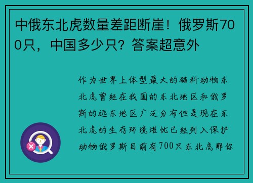中俄东北虎数量差距断崖！俄罗斯700只，中国多少只？答案超意外