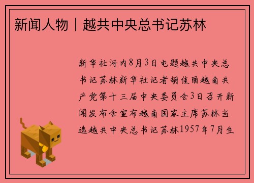 新闻人物｜越共中央总书记苏林